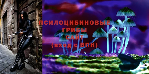 ешки Баксан