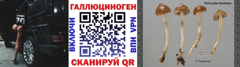 закладка  blacksprut как войти  Галлюциногенные грибы ЛСД  Таруса 
